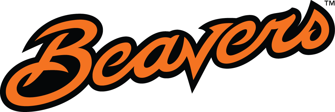 Oregon State Beavers 2013-Pres Wordmark Logo diy fabric transfer